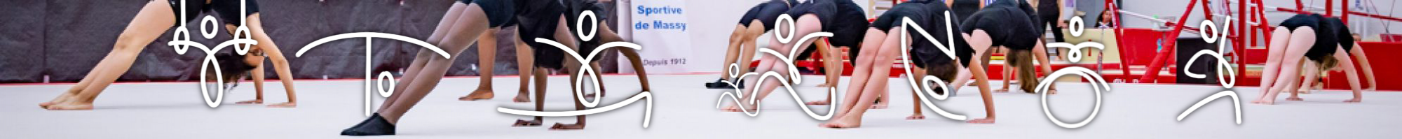 Tricolore Sportive de Massy